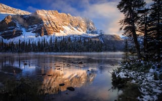 Картинка утро, национальный парк Банф, отражения, Скалистые горы, Боу, Канада, озеро, осень