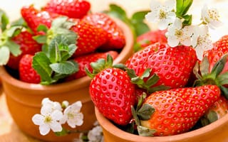 Обои ягоды, клубника, красные, strawberry, berries, fresh, спелая