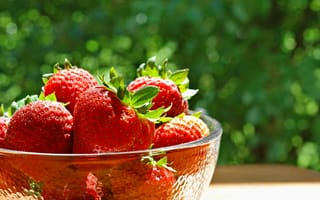 Обои миска, fresh, berries, красные, strawberry, клубника, спелая, ягоды