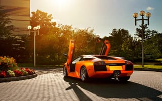 Картинка Lamborghini, мурселаго, ламборджини, orange, ламбо двери, брусчатка, ламборгини, Murcielago, фонарный столб, блик, оранжевый, открытые двери, цветы