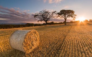 Картинка Scotland, Sunrise, Straw, Balerno Harvest