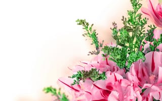 Картинка цветы, tulips, flowers, тюльпаны