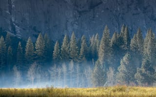 Картинка природа, утро, гора, скала, туман, деревья, трава, лето, свет