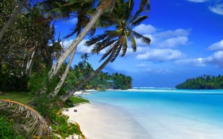 Обои paradise, берег, sea, sand, shore, песок, beach, palms, tropical, пляж, summer, море