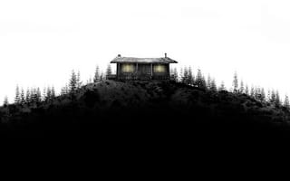 Картинка домик, лес, дом, деревья, хижина, в лесу, холм, черно-белый