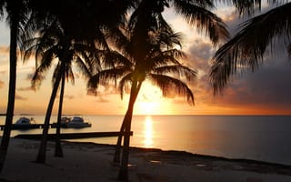 Обои пальмы, tropical, берег, beach, пляж, paradise, shore, закат, песок, sand, sunset, sea, море