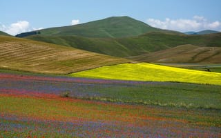 Картинка цветы, долина, маки, луг, горы, трава, Италия, склон, природа, Умбрия, поле
