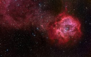 Картинка туманность, Розетка, NGC 2237, звезды, NGC 2244