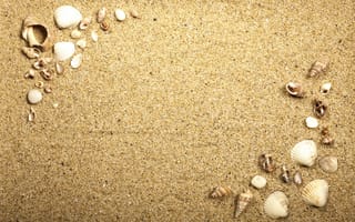 Обои sand, песок ракушки, beach, marine, texture, seashells