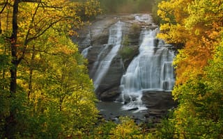 Картинка Северная Каролина, North Carolina, осень, деревья, лес, High Falls, DuPont State Forest, водопад