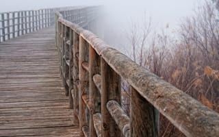Картинка перила, туман, мост, макро
