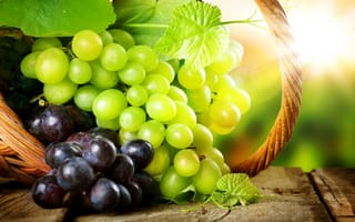 Обои виноград, корзина, солнце, блики, листья, ягода, грозди