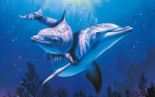 Картинка Christian, Riese, аквариум, море, красиво, голубое, дельфин
