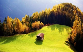 Картинка осень, домик, лес, поляна, сопка, солнце