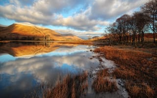 Картинка отражение, озеро, облака, трава, Шотландия, берег, замок, осень, деревья