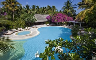 Картинка Maldives, пальмы, Мальдивы, шезлонги, природа, бунгало, бассейн, деревья