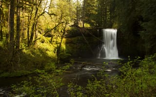 Картинка Silverfalls State Park, США, кусты, камни, деревья, мох, лес, Oregon, водопад, ручей, ветки, солнце