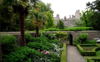 Картинка Arundel Castle Rose Gardens UK, парк, камень, пальмы, стена, замок, деревья, цветы