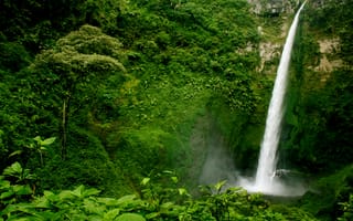 Картинка Guatemala, водопад, зелень, обрыв, деревья, кусты, скала, лес