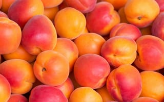 Обои apricot, абрикосы, фрукты