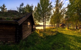Картинка деревья, озеро, дом, изба, Норвегия, Vestby, Hedmark Fylke, берег, беседка