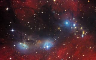 Картинка NGC 6914, Лебедь, космос, vdB 132, туманность, nebula