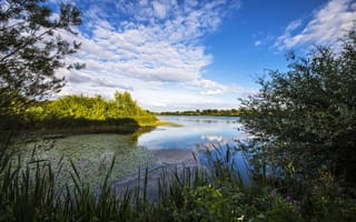 Картинка Англия, River Great Ouse, река Грейт-Уз, England, Cambridgeshire, река, небо, облака, Кембриджшир, растительность