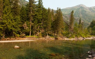 Картинка лес, ручей, США, деревья, Glacier National Park, камни, горы