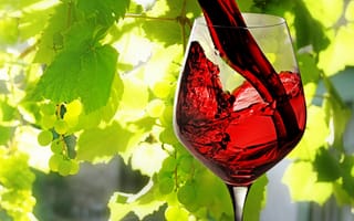 Картинка вино, красное, бокал, виноград, наливается, листья