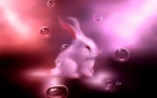 Картинка арт, розовый, белый, пузырьки, кролик, заяц, зайчик