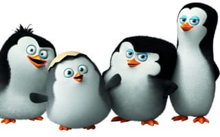 Картинка мультфильм, Classified, Penguins of Madagascar, Пингвины Мадагаскара