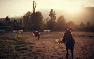Картинка Ivan Gorokhov, кони, лошади
