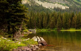 Картинка камни, США, лес, деревья, Swiftcurrent Lake, Glacier National Park, озеро, трава