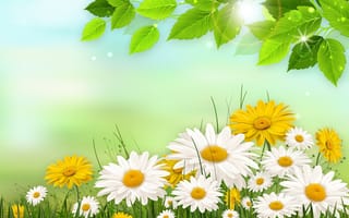 Картинка трава, листья, рисунок, ромашки, компьютерный дизайн