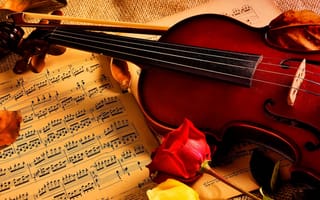 Обои розы, скрипка, ноты, музыка