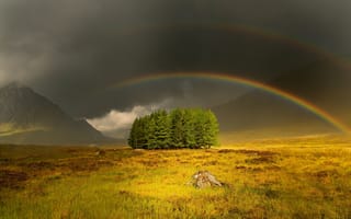 Картинка радуга, поле, деревья, горы