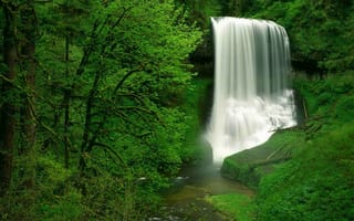 Картинка водопад, лес, USA, Oregon, США