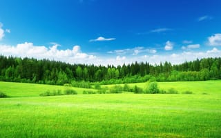 Картинка природа, зеленая, деревья, трава, небо, облака, салатовая, поле, лес