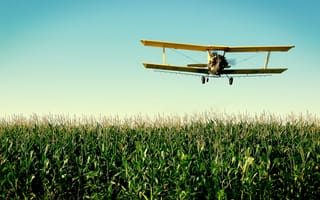 Картинка кукурузник, кукуруза, самолёт