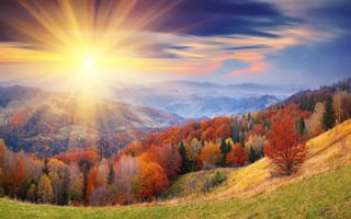 Картинка холмы, лучи, небо, осень, облака, солнце, листва, деревья