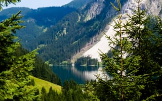 Картинка Nature, Mountains, Meadow, Lake, Alpes, Tannheimer Tal, Austria, Trees
