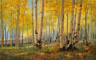 Картинка Kay Witherspoon, искусство, Pillars Of Gold, лес, золотая осень, живопись, роща, березы, осень