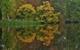 Картинка осень, отражения, water, природа, nature, озеро, деревья, trees