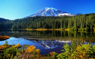 Обои Reflection Lake, горы, осень, лес, отражение, озеро, Mount Rainier National Park, деревья, вода