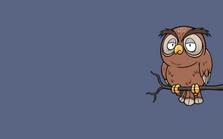 Картинка сова, птица, owl, минимализм, ветка