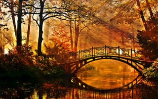 Картинка парк, деревья, кусты, пруд, лучи солнца, осень, мост