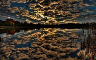 Обои Облака, небо, вода, лес, отражение