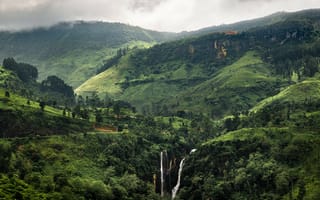 Картинка тропики, зелень, пейзаж, Шри-Ланка
