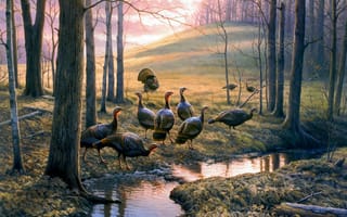 Картинка Greg Alexander, ручей, холм, Callin Em Out, осень, лес, живопись, индюки, осенние листья