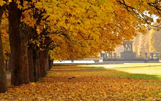 Картинка осень, листья, ряды, nature, парк, fall, park, yellow, trees, деревья, жёлтые, листопад, leaves, Природа, autumn